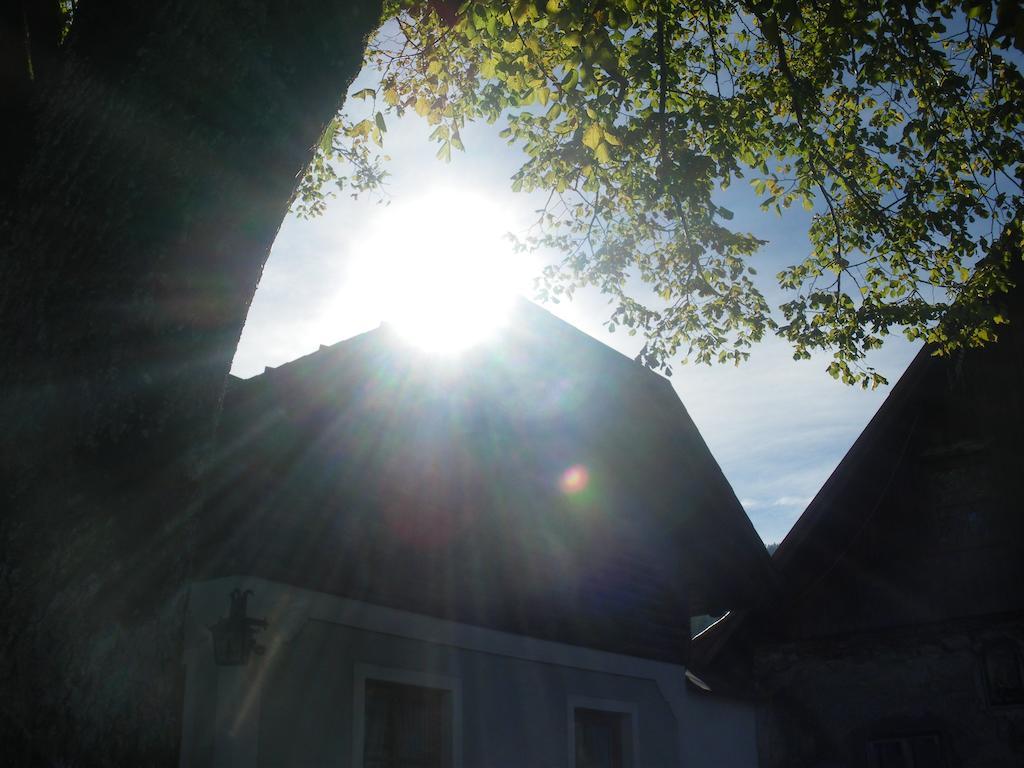 Bio-Bauernhof Kurzeck Villa Göstling an der Ybbs Exteriör bild