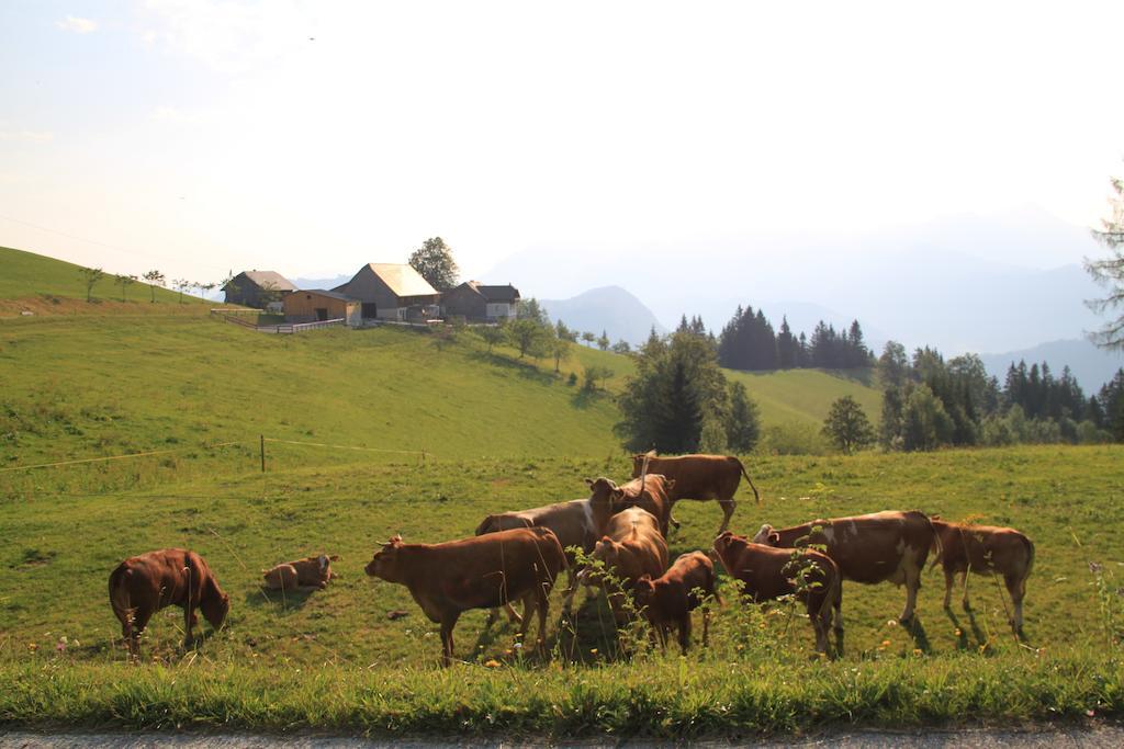 Bio-Bauernhof Kurzeck Villa Göstling an der Ybbs Exteriör bild