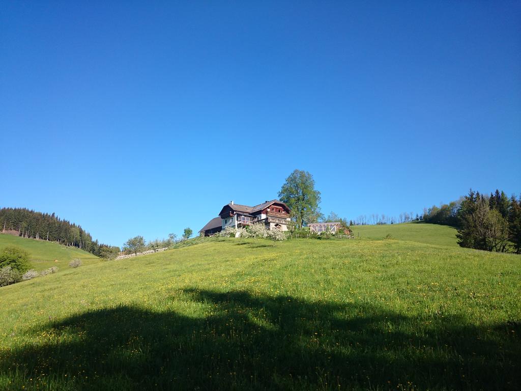 Bio-Bauernhof Kurzeck Villa Göstling an der Ybbs Exteriör bild
