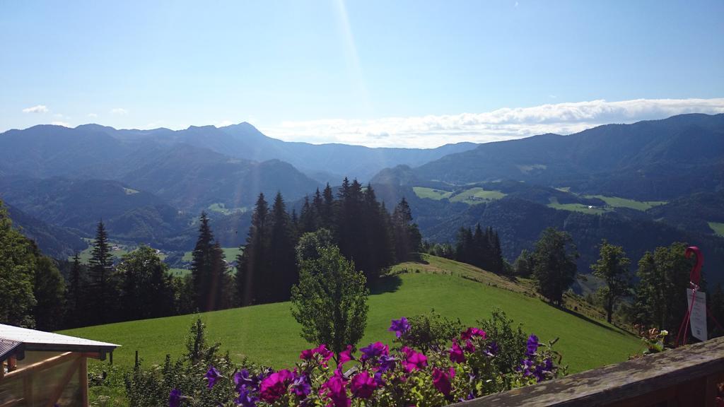 Bio-Bauernhof Kurzeck Villa Göstling an der Ybbs Exteriör bild
